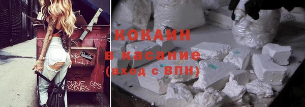 соль ск Каменка