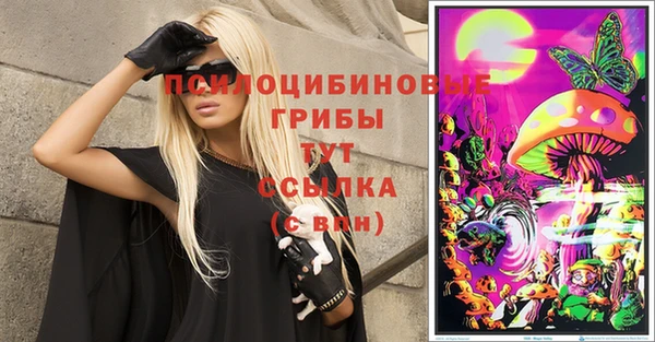 гашик Каменногорск