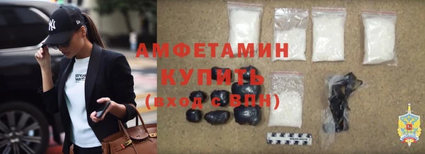 соль ск Каменка