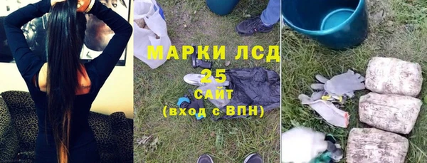 соль ск Каменка