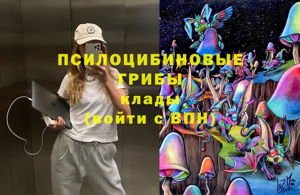 гашик Каменногорск