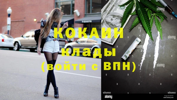 гашик Каменногорск