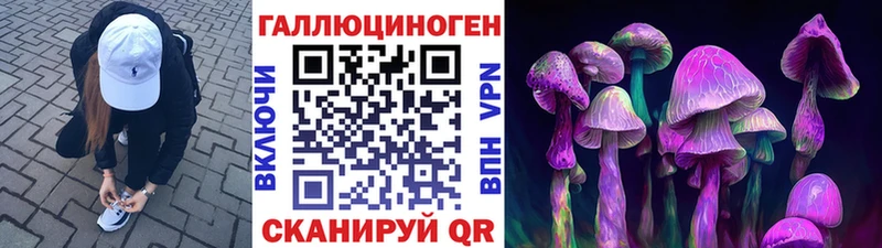 Купить  Белёв  Галлюциногенные грибы Psilocybine cubensis 