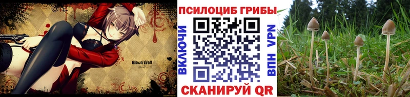 Галлюциногенные грибы MAGIC MUSHROOMS Белёв